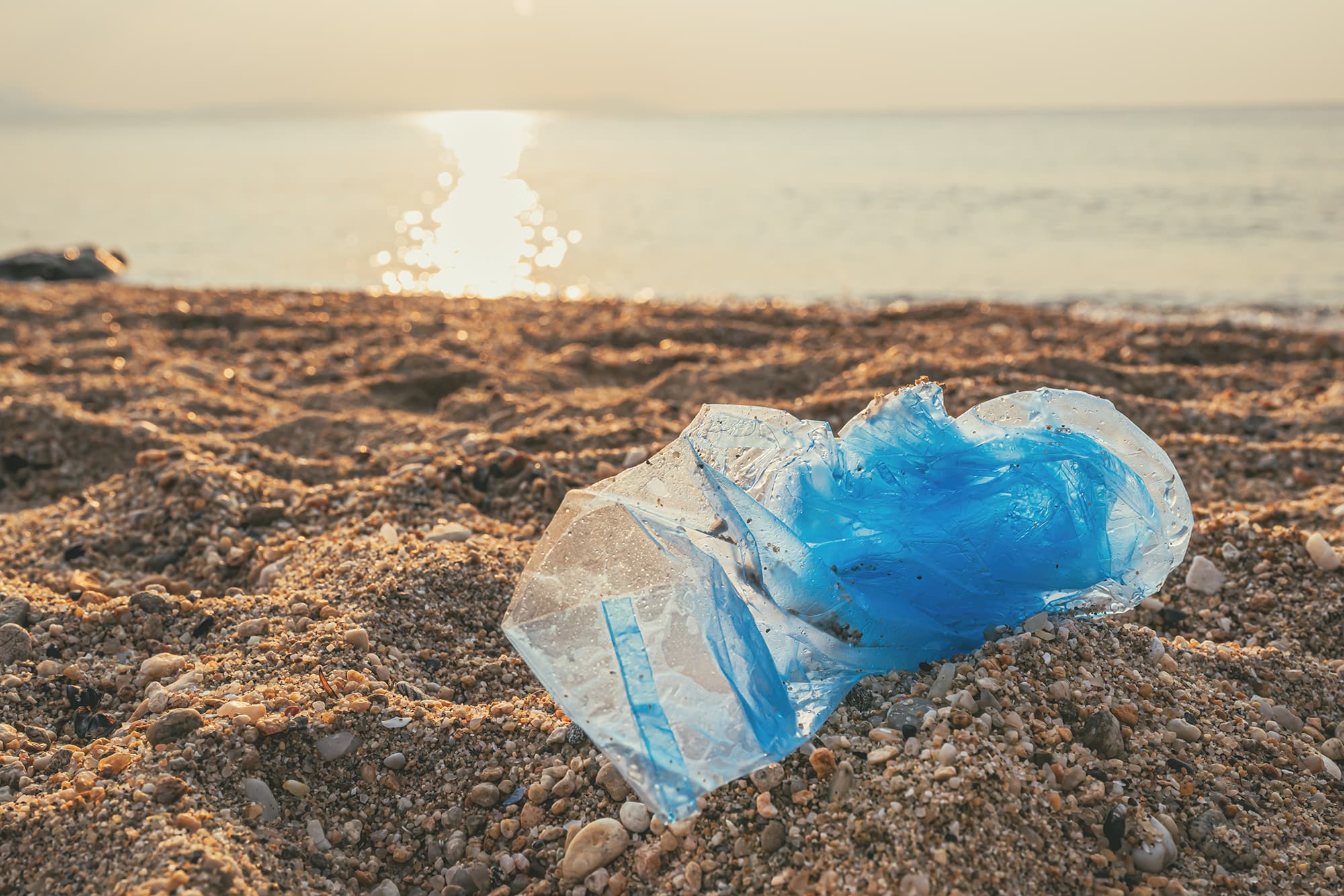 Undescribed photograph from How We Can End Litter. No description was migrated for this image.