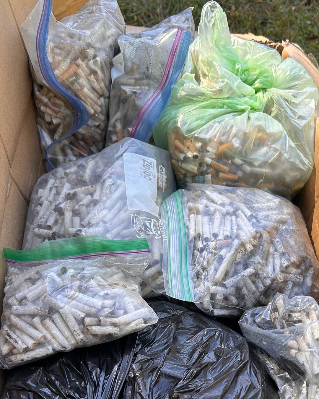 Looking down into a cardboard box packed with clear zip-seal and plastic bags, each crammed full of collected cigarette butts and grit, a black bin liner beneath them.