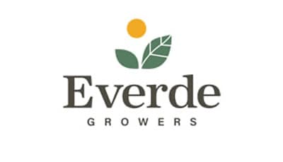 Flat logo showing a yellow circle above two dark green leaves, with the word Everde in a brown serif face below and GROWERS in spaced capitals beneath it.