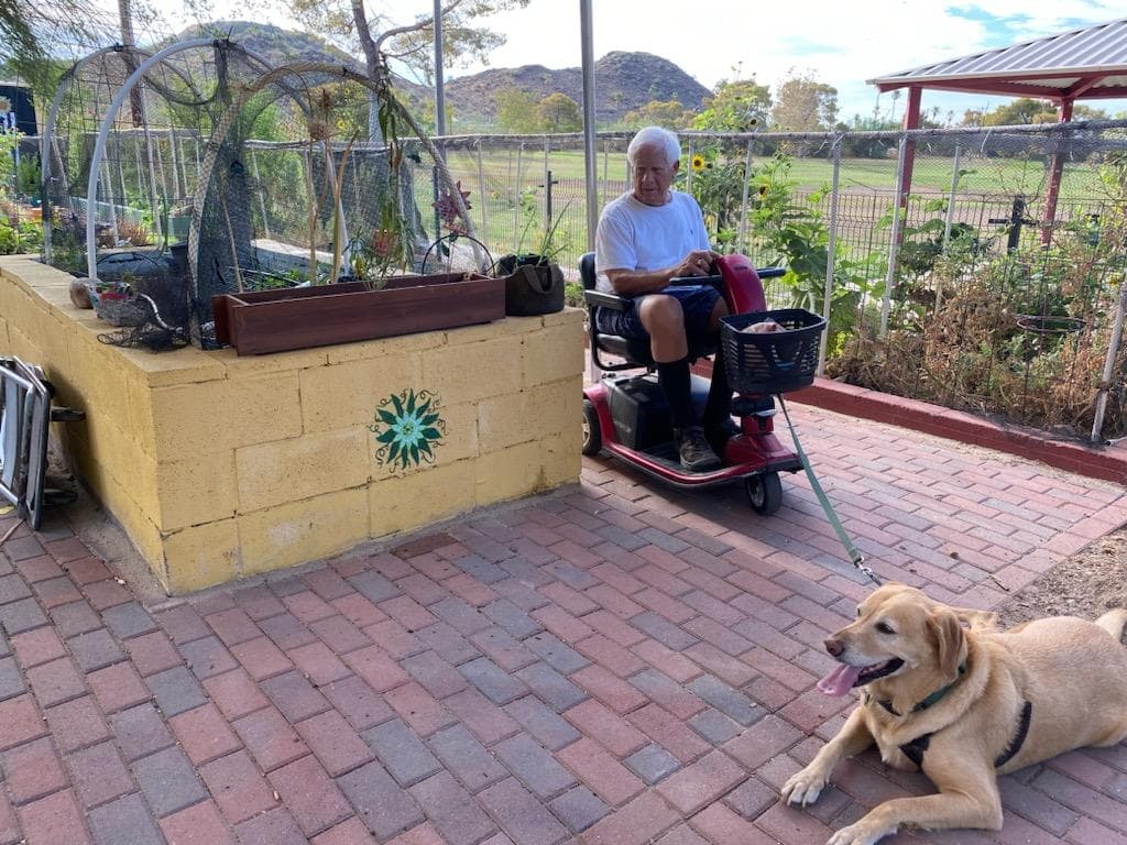 Same garden patio from farther back: the man on the scooter looks down while the labrador lies flat on the brick paving, netted beds behind