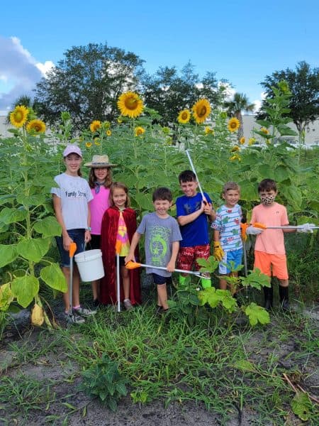 Seven children stand shoulder to shoulder in front of tall blooming sunflowers, holding litter grabbers and a white bucket