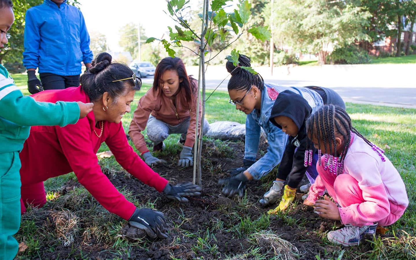 Children in bright hoodies and two adults press dirt around the base of a young oak by a suburban street