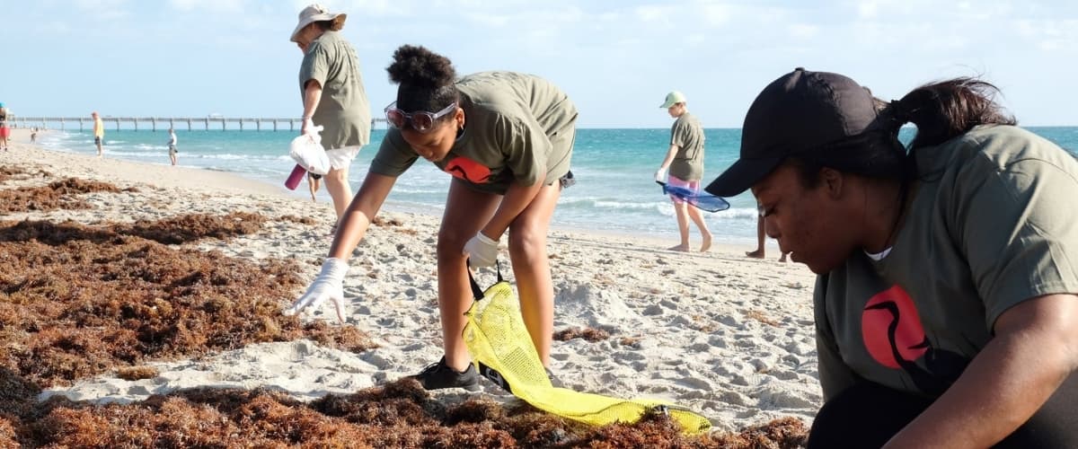 Volunteers in olive shirts and caps pick litter from seaweed-strewn sand at the tide line, a fishing pier in the distance