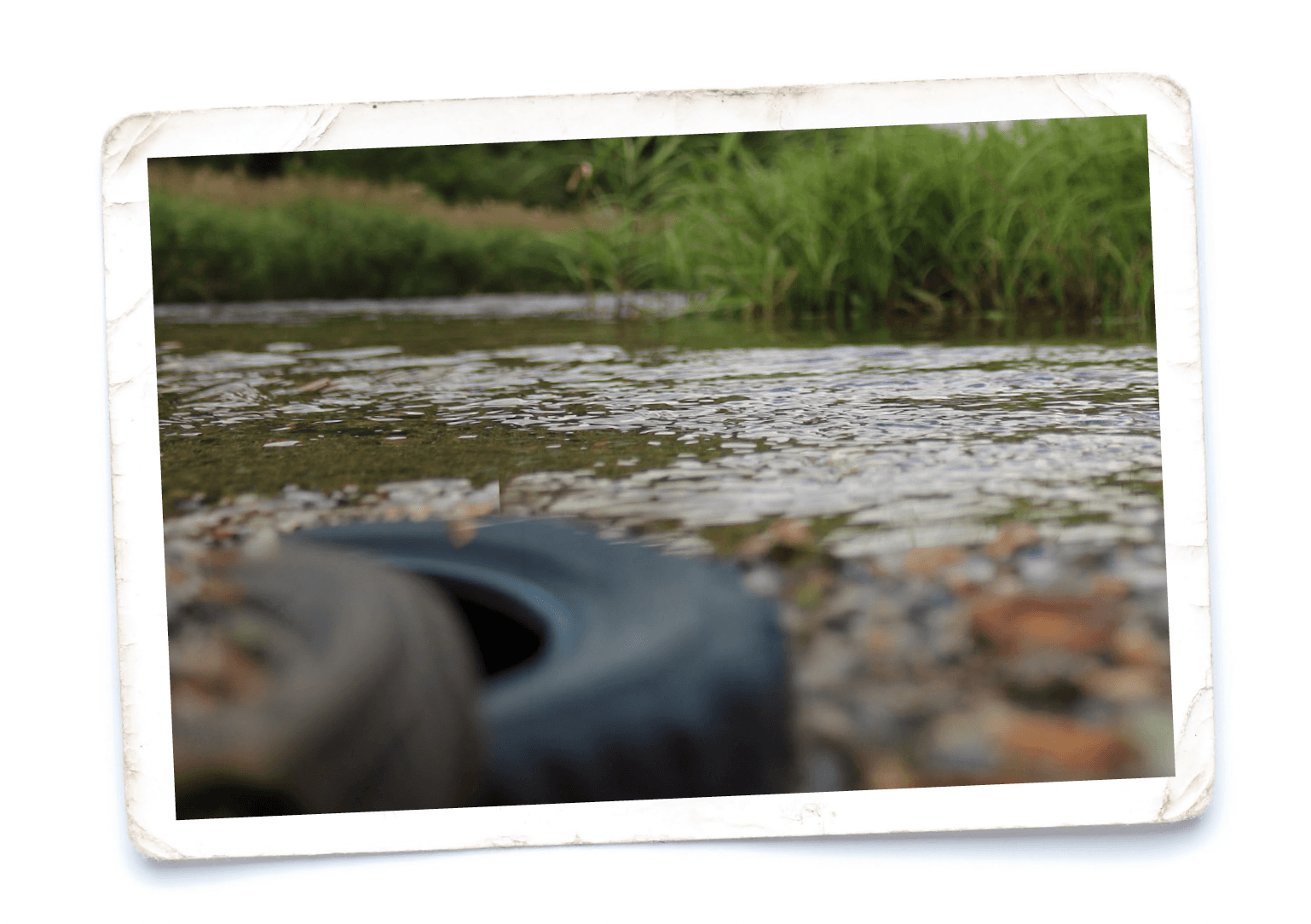 A photo with torn white borders showing a discarded tyre half-buried in the stones at the edge of a shallow stream, with reeds and grass on the far bank; the foreground is heavily blurred.