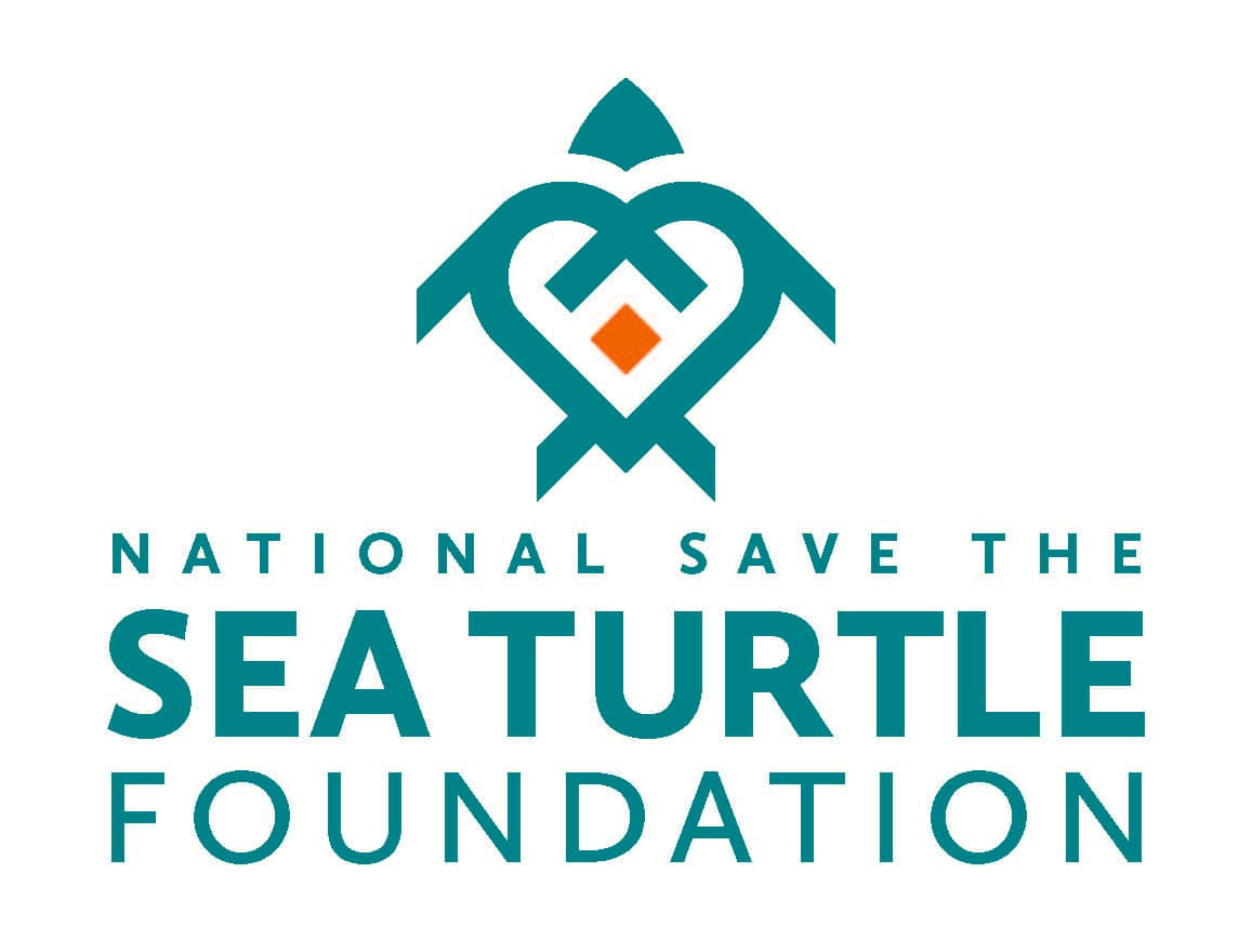 Bright green logo on white: a geometric turtle formed from angular chevrons with a small orange diamond at its centre, above the stacked words NATIONAL SAVE THE SEA TURTLE FOUNDATION.