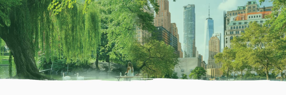 Faded green-toned banner of a city park: a weeping willow overhanging a pond with swans, a person sitting on a bench, and a skyline of high-rise towers rising behind the trees.